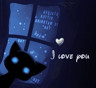 Kitten_i_love_you202