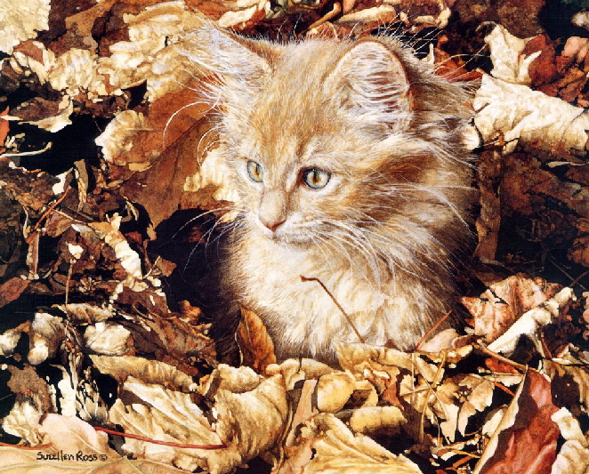 Sueellen_Ross__Ambers_First_Autumn_De