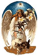 angel and cat