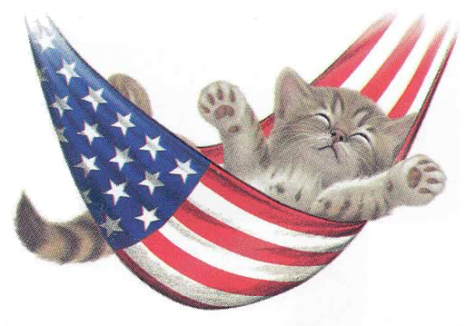 4TH_KITTENinHAMMOCK