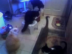 dinner time02