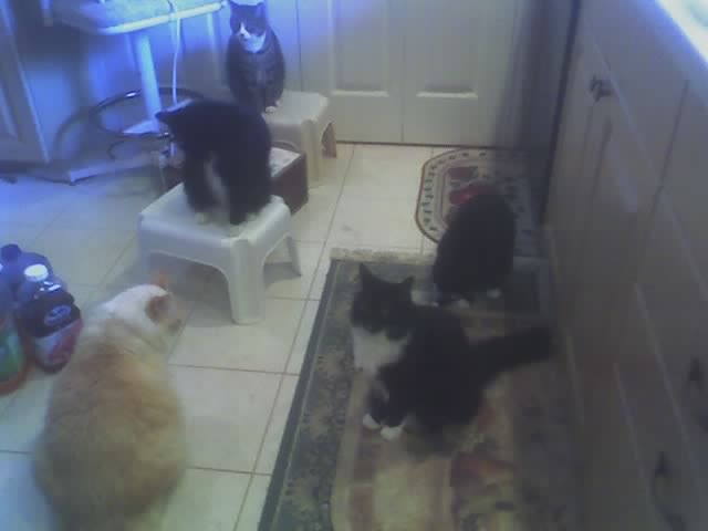 dinnertime2